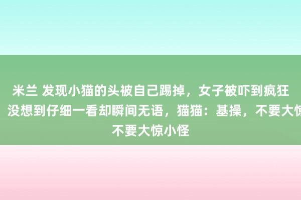 米兰 发现小猫的头被自己踢掉，女子被吓到疯狂尖叫，没想到仔细一看却瞬间无语，猫猫：基操，不要大惊小怪